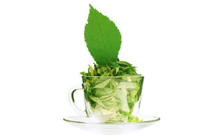 绿茶包括哪些品种