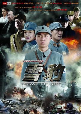 雪豹电视剧2010