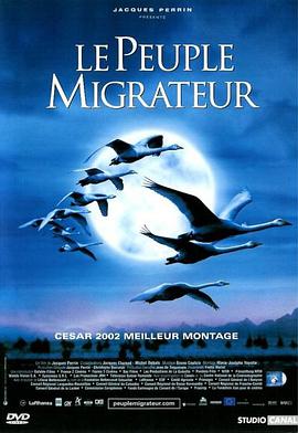 鸭的迁徙电影